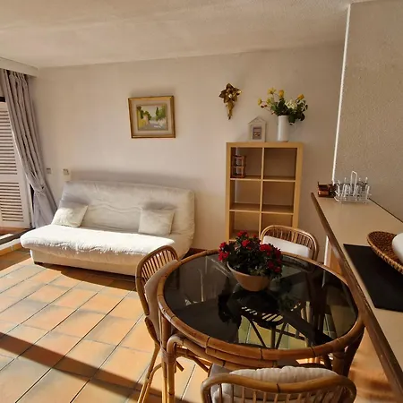 2 Pieces Avec Vue Et Garage A - Fr-1-780-71 *