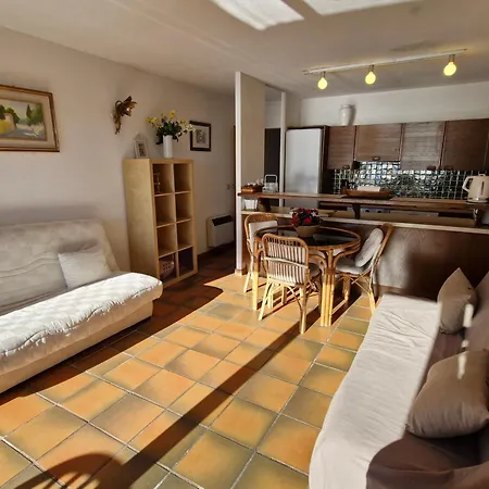 Apartment 2 Pieces Avec Vue Et Garage A - Fr-1-780-71