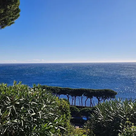 2 Pièces Avec Piscine Et Garage à - Fr-1-780-71 Sainte-Maxime